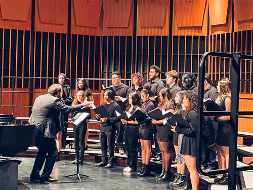 Madrigals at Festival